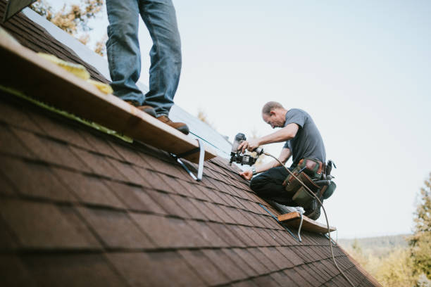 Fast & Reliable Emergency Roof Repairs in Pasadena, TX